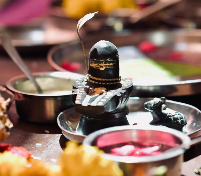 Rudra Abhishek Pooja